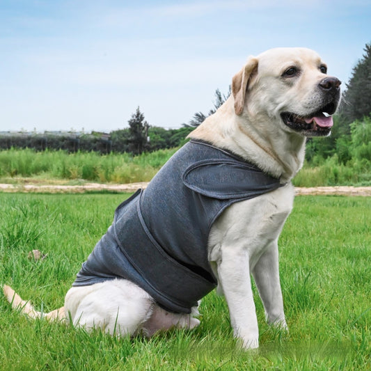 Chaleco Calmante para Perros - Alivia la Ansiedad por Separación