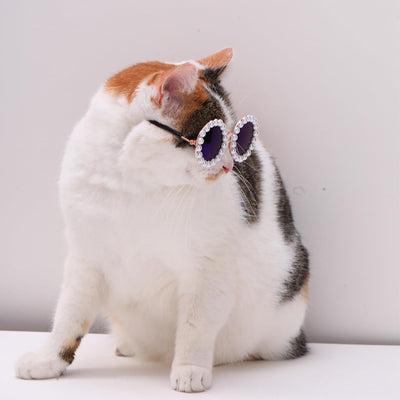 Gafas de Sol Pearl para Mascotas - Accesorios Divertidos y Elegantes para Disfraz de Fiesta - Image 22