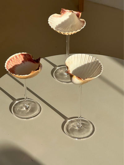 Vaso Térmico Diseño Concha Marina - Taza Creativa para Bebidas - Image 12