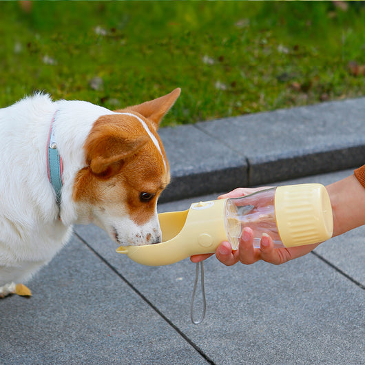 Botella de Agua Portátil 2 en 1 para Perros y Gatos con Comedero Integrado - Image 5
