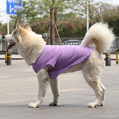 Chaleco y Camiseta para Perro XS-5XL | Ropa Fresca para Perros Pequeños - Image 15