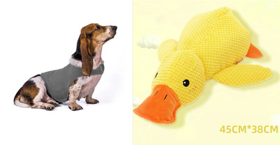 Chaleco Calmante para Mascotas - Ropa Terapéutica Antiansíedad para Gatos y Perros - Image 13