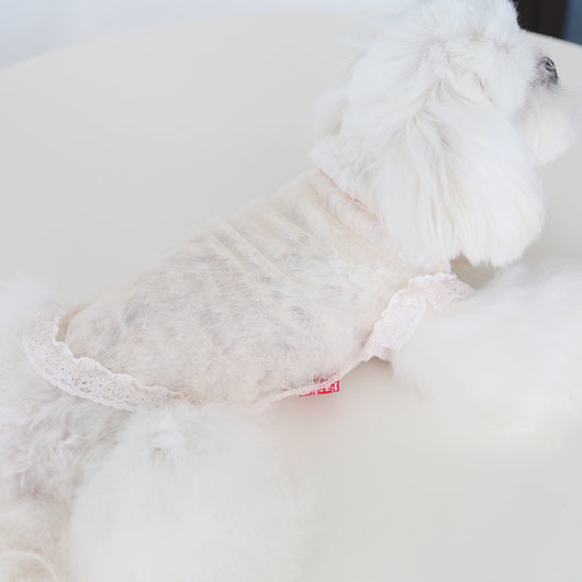 Chaleco de Encaje Antiestático para Mascotas - Ropa Elegante para Perros y Gatos - Image 13