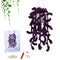 Zixuan Moon Basket Series Summary