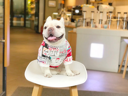 Suéter Abrigador para Perros Pequeños - Schnauzer, Shiba Inu y Bichón - Image 11