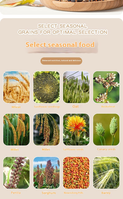 Alimento Premium para Loros y Aves Exóticas - Fórmula Xuanfeng - Image 6