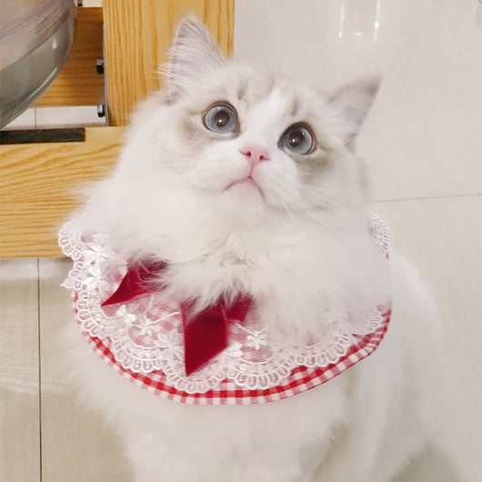 Joya Fotográfica Personalizadas Mascotas - Collar y Pulsera - Image 10
