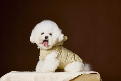 Chaleco Acolchado sin Mangas con Capucha - Diseño Adorable de Schnauzer y Bichón - Image 17