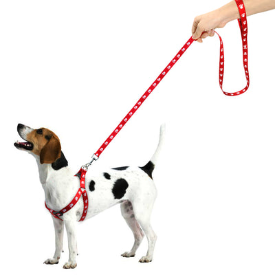 Correa para Perro Estampada - Image 5