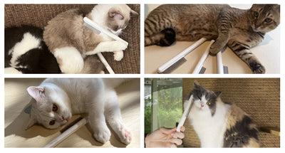 Peine Deslanador para Gatos - Acero Inoxidable con Puntas Suaves - Image 20