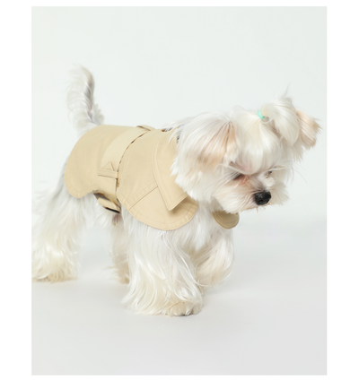 Abrigo Impermeable Británico para Perros - Ropa de Verano - Image 11