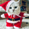 Natal