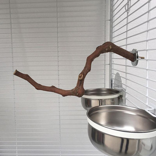 Natural wild grape wood bird perch with a branch, securely mounted inside a white wire bird cage. - Image 16