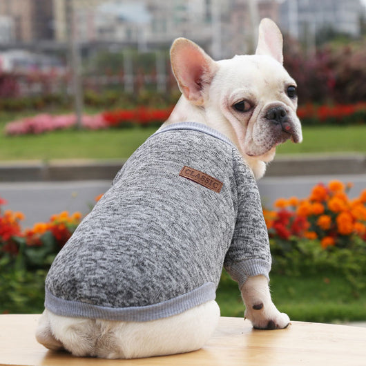 Suéter Abrigado para Perros - Ropa de Invierno Otoño Dos Patas - Image 12