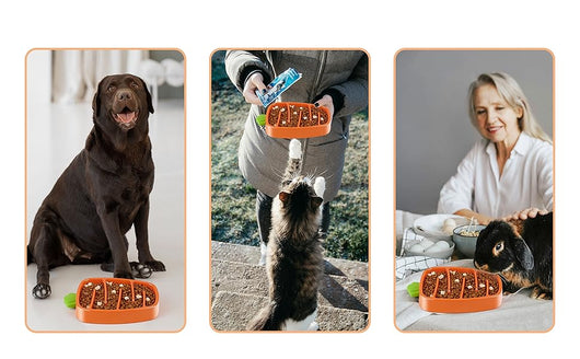 Comedero Lento para Perros Pequeños y Medianos - Diseño de Zanahoria Antideslizante - Image 13