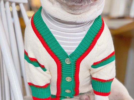 Abrigo Invernal para Mascotas Bichón, Schnauzer y Gatos - Image 23