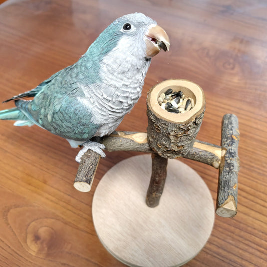Solid wood parrot stand with multiple natural branch perches and a pinecone, featuring a cockatiel.