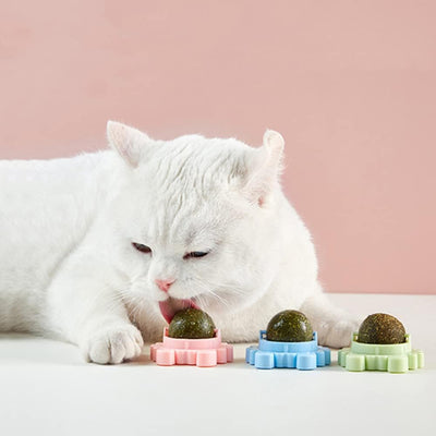 Juguete Interactivo de Hierba Gatera para Gatos - Bola Giratoria Limpiadora - Image 3