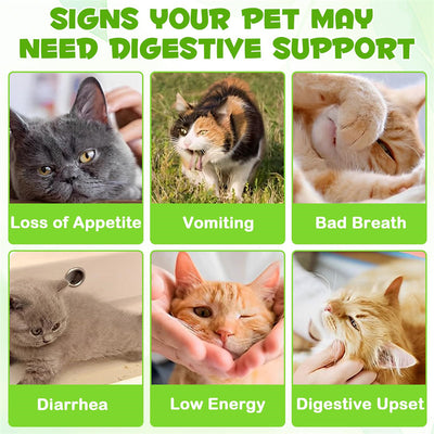 Probióticos 3 en 1 para Gatos con Prebióticos y Enzimas Digestivas - Image 3