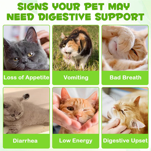Probióticos 3 en 1 para Gatos con Prebióticos y Enzimas Digestivas - Image 3