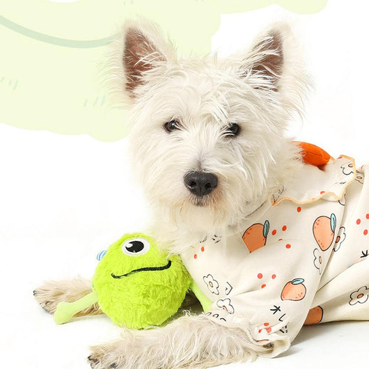 Juguete Interactivo para Perros con Sonido - Pelota Multifuncional para Limpiar Dientes - Image 13