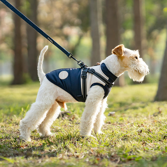 Chaleco Térmico Protector para Perros