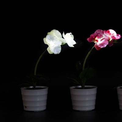 Lámpara Solar Orquídea con Mariposas Decorativas - Image 11