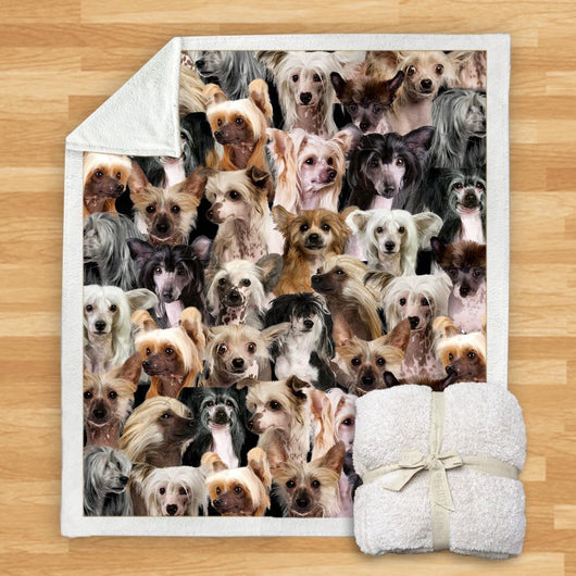 Manta Franela Estampada para Perros - Image 28