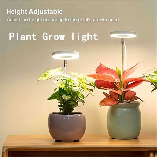 Luz LED de Crecimiento para Plantas Suculentas y Bonsái con Temporizador y Atenuador