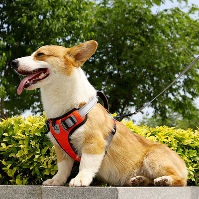 Arnés Chaleco para Perro con Cuerda de Sostén Manual - Image 3