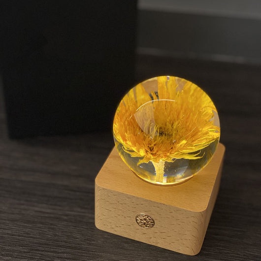 Lámpara Nocturna con Base de Madera y Flores Preservadas