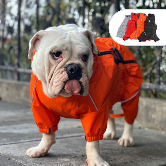 Impermeable para Perros de Cuatro Patas - Ropa Protectora para Mascotas - Image 4