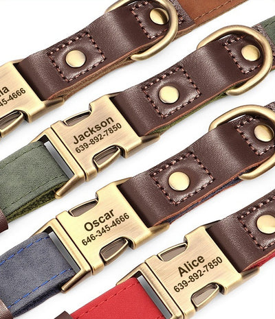 Collar Ajustable para Perros Medianos - Paseos Seguros y Cómodos - Image 12