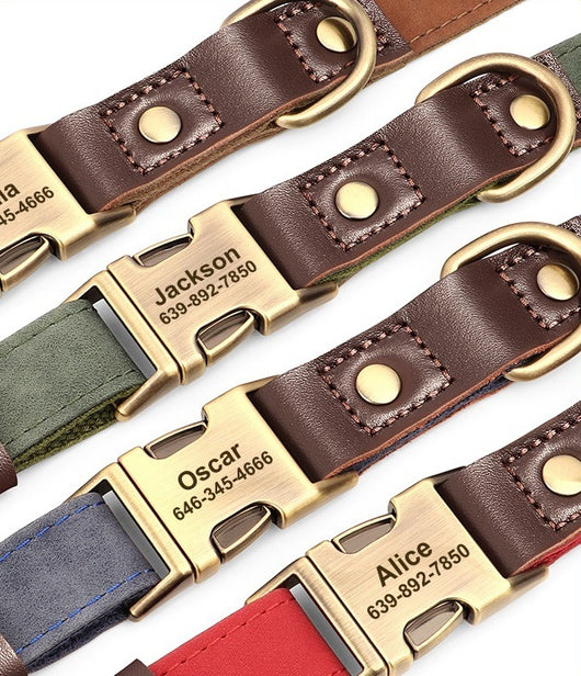 Collar Ajustable para Perros Medianos - Paseos Seguros y Cómodos - Image 12