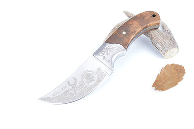 Cuchillo de Supervivencia American Gaiter - Hoja Recta para Aventuras - Image 4
