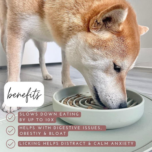 Comedero Lento de Silicona para Perros - Diseño Moderno Anti-Gulping - Image 9