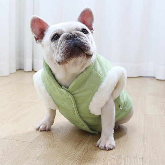 Chaleco Térmico para Perros Colores Pastel - Abrigo Año Nuevo - Image 10