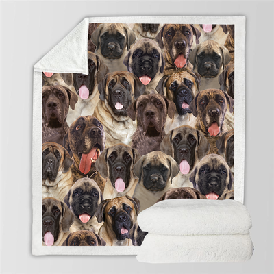 Manta Flanela Estampada para Perros de Moda - Image 3
