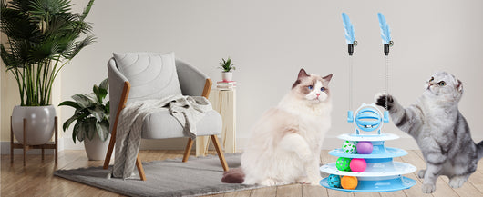 Juguetes Interactivos para Gatos - Set Completo de Entretenimiento Felino - Image 23