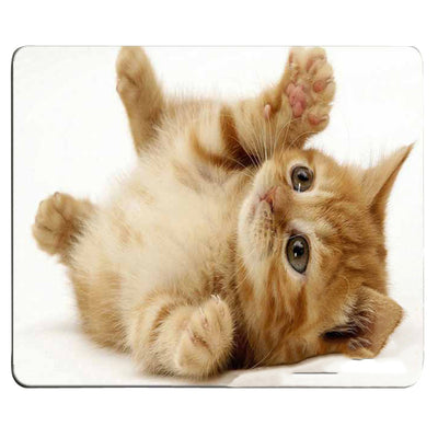 Tapete para Ratón con Diseño Gato Divertido - Image 21