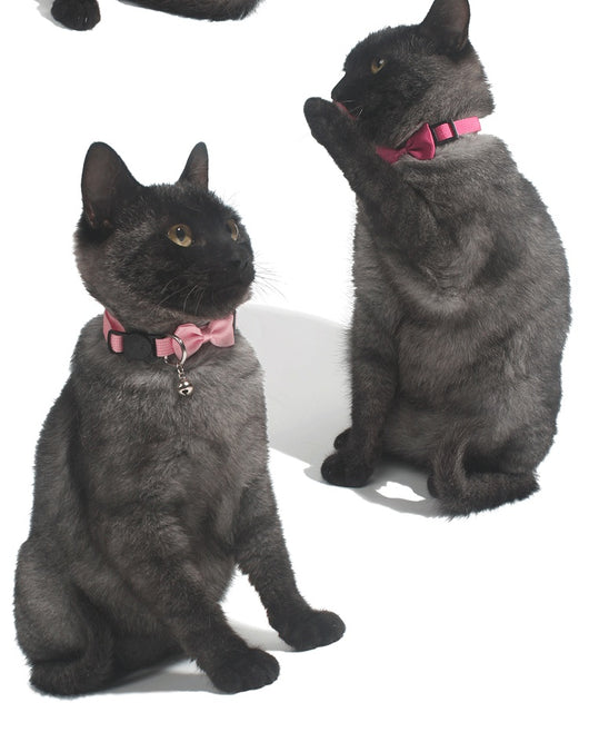 Collar Decorativo para Mascotas con Moño de Cinta Multicolor Ajustable y Campana - Image 21
