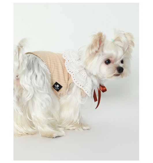 Chaleco Floral con Moño para Mascotas - Ropa Elegante y Cómoda - Image 10