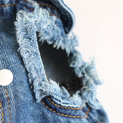 Ropa para Mascotas Denim con Flecos Rotos - Image 10