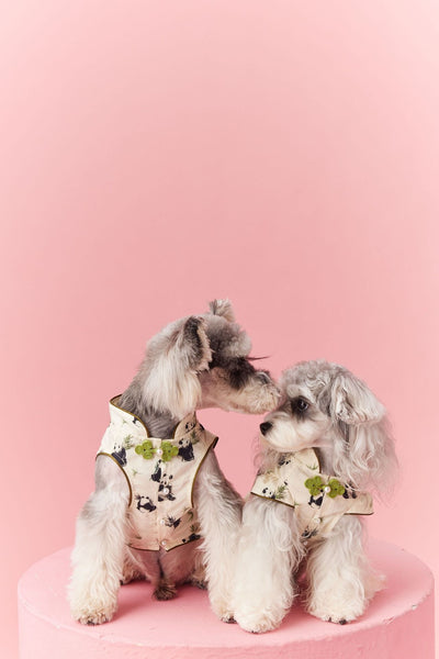 Chaleco sin Mangas Estilo Chino para Mascotas - Diseño Panda Teddy Schnauzer Bichón - Image 31