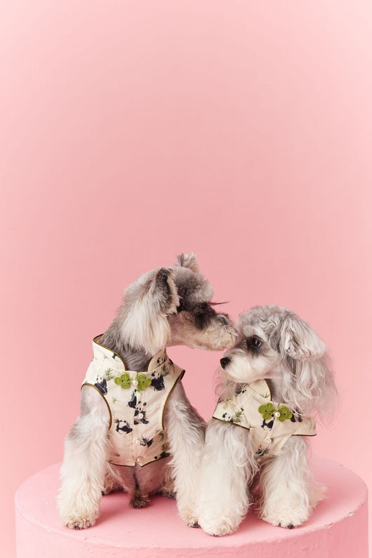 Chaleco sin Mangas Estilo Chino para Mascotas - Diseño Panda Teddy Schnauzer Bichón - Image 31