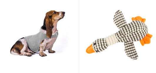 Chaleco Calmante para Mascotas - Ropa Terapéutica Antiansíedad para Gatos y Perros - Image 21