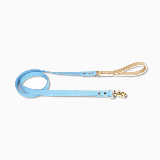 Juego de Collar y Correa para Perro en Cuero Premium - Image 10