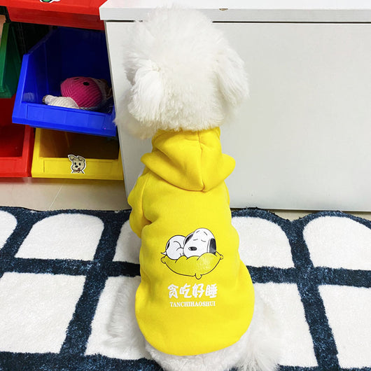 Ropa de Abrigo para Perros - Diseños Adorables Otoño e Invierno - Image 14