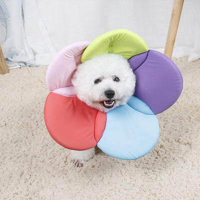 Protector Antirraspuños para Mascotas con Diseño Floral - Image 7