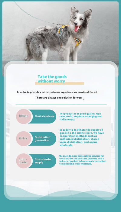 Correa Ajustable para Perros Pequeños, Medianos y Grandes - Image 14